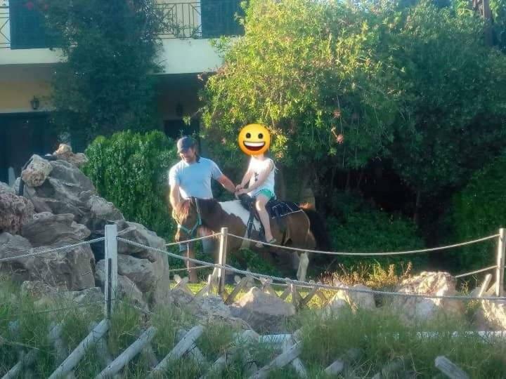 شقة Ktima Nikola Marmari  المظهر الخارجي الصورة